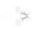 AP