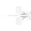 CANISTER APFSDS