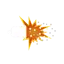 CANISTER